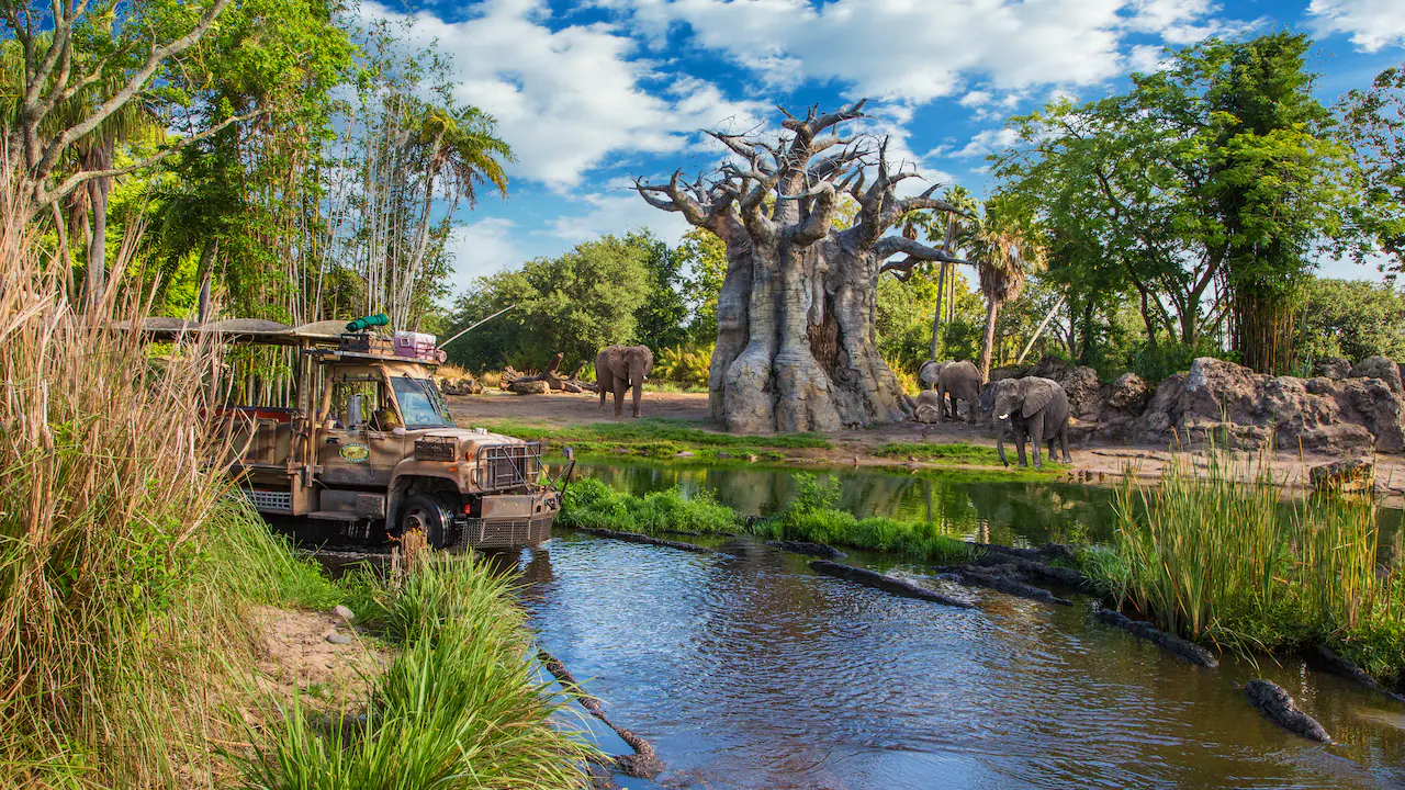Kilimanjaro Safaris - Wildlife expedition