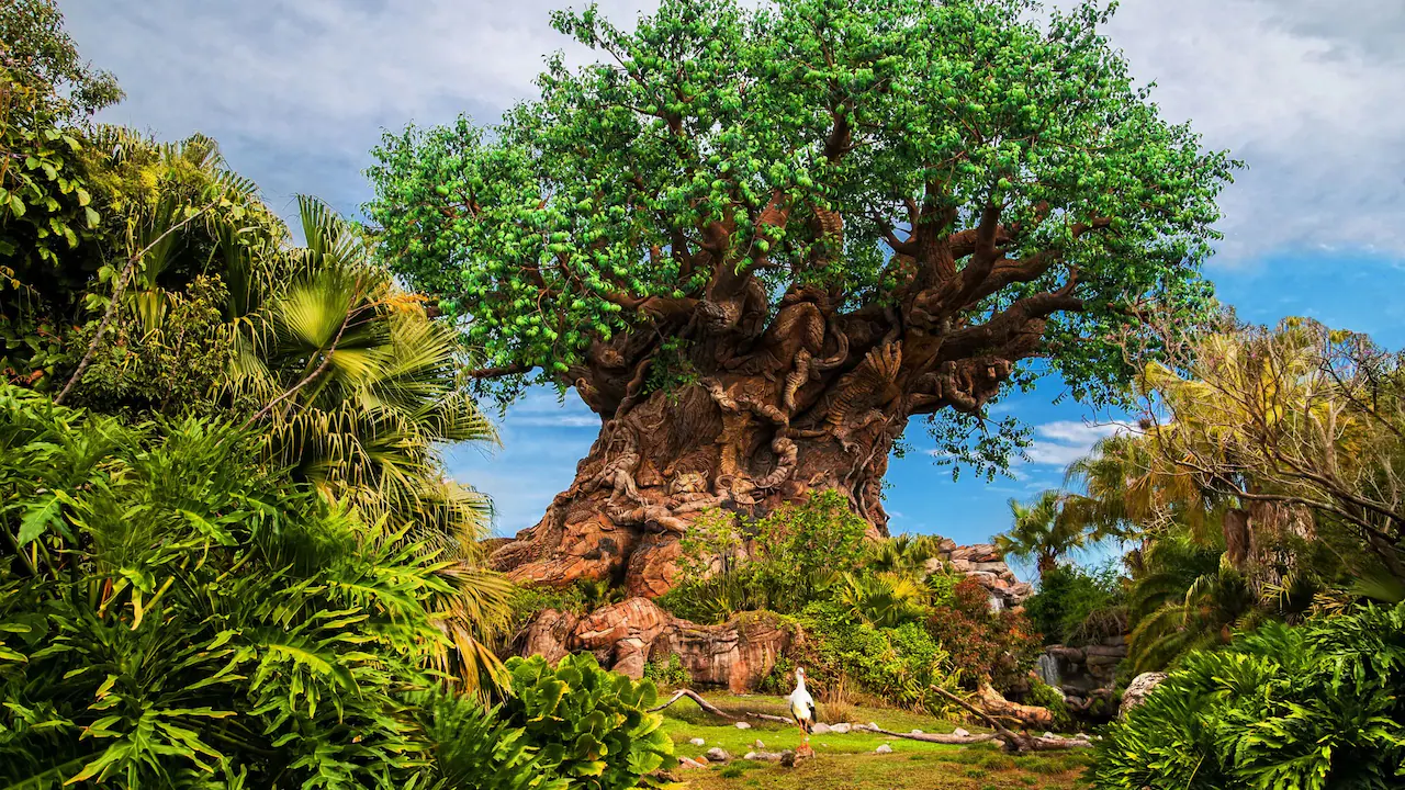 Disney's Animal Kingdom - Celebrate Our World video preview